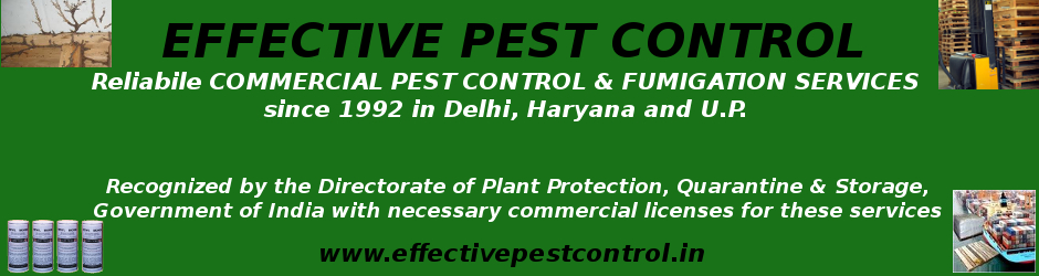 Safe and Eco Friendly Treatments
